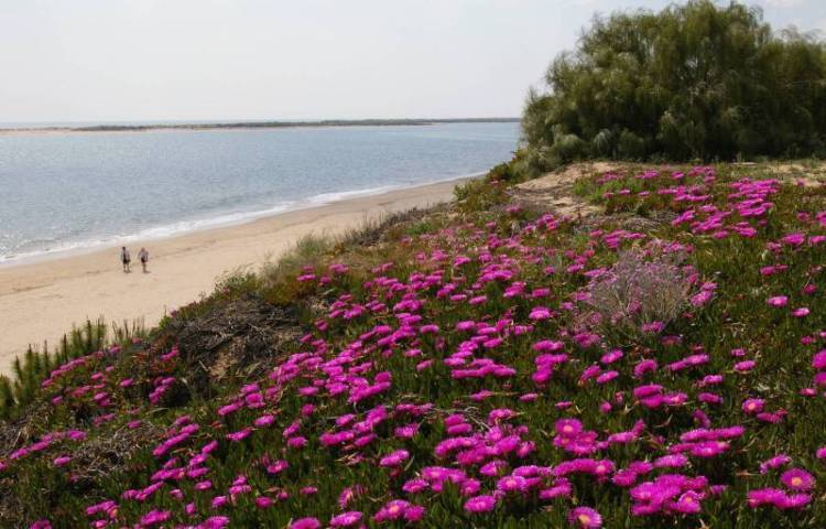 The beach at Nuevo Portil