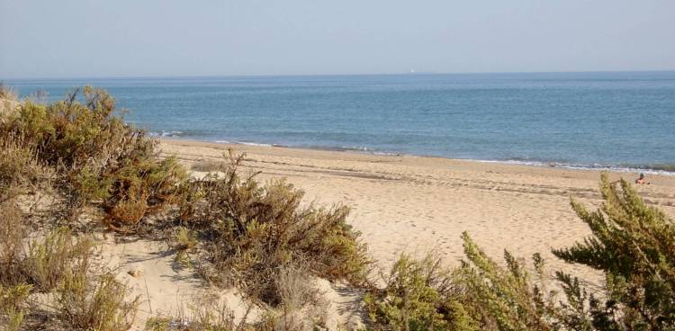 Beach on Costa de la Luz