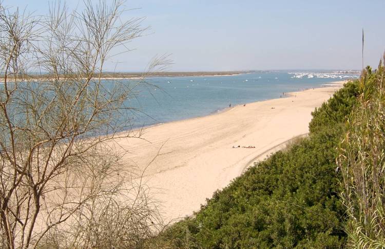 Beach at Nuevo Portil